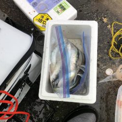 サイズが良くなってきた？？