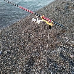 まだ　小型ですが、何とか一杯確保です!!