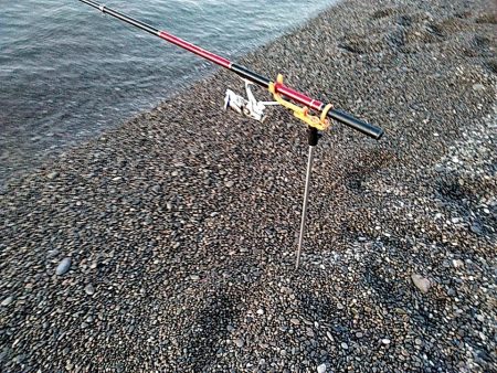 まだ　小型ですが、何とか一杯確保です!!