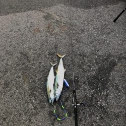 今日も朝から…