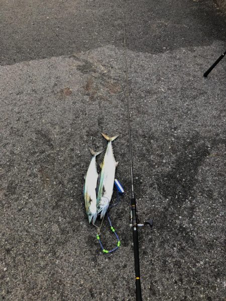 今日も朝から…