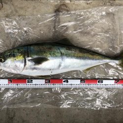 朝マズメ サーフフィッシング