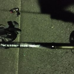 これが太刀魚の引き…