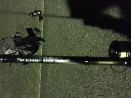 これが太刀魚の引き…