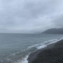 長潮でも釣れました。