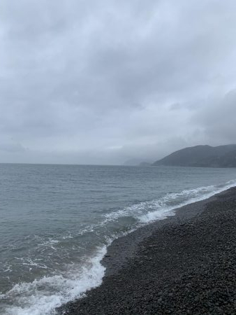 長潮でも釣れました。