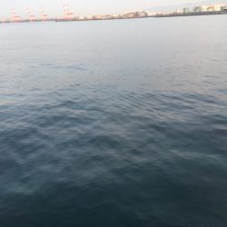 低水温期の貴重な1匹