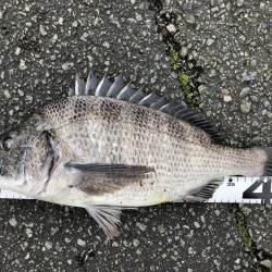 イチノ兄弟、釣果！