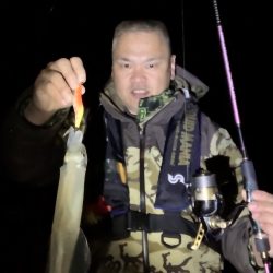 ヤリイカエギング