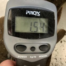 イカ狙いのはずが…