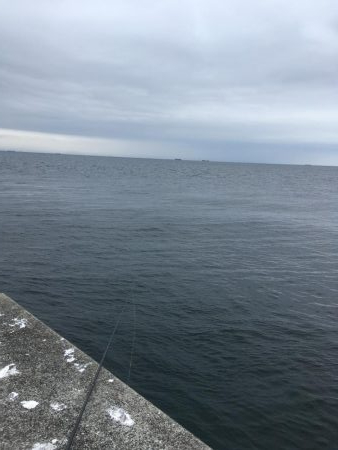 シーバスシーズンイン