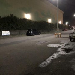 まだまだマイワシいてました。夕まずめの釣行。