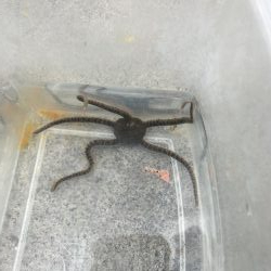 暴風のチヌ釣り