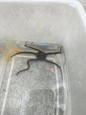 暴風のチヌ釣り