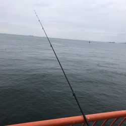 初めてのメバルゲット