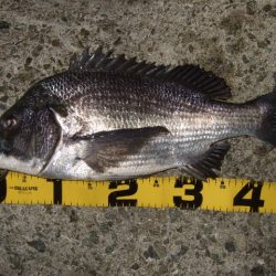 ハイシーズンまではもう少し