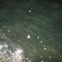 全然乗らん…。