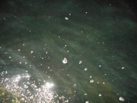 全然乗らん…。