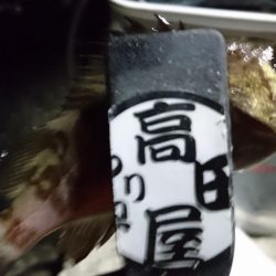 爆風メバリング