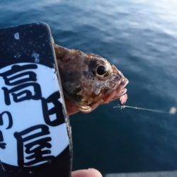 ガシラゲーム！！