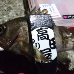 アミパターン！！