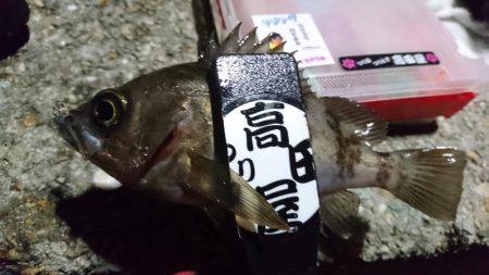 アミパターン！！