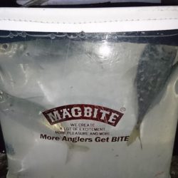 ボトムべったり！！