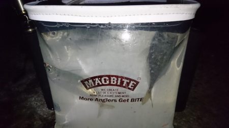 ボトムべったり！！