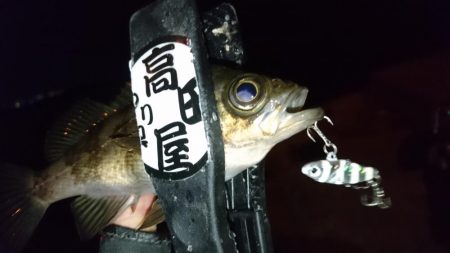 今夜もメタルメバリング！！