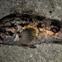 爆風の常夜灯まわり