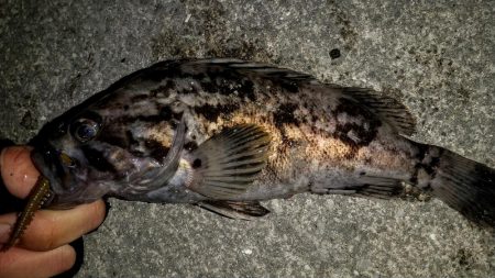 爆風の常夜灯まわり