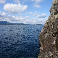 勝浦山成でグレ釣り