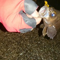 食欲ないのかな？