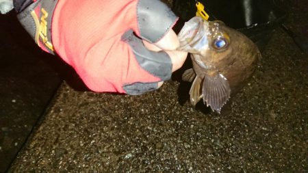 食欲ないのかな？