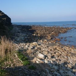 青物  アジング  エギング