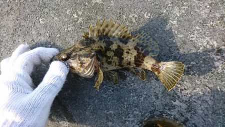 穴釣りも活性上がってきた？