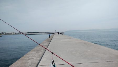 キス仕掛けで大物が釣れました