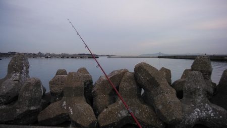 強風の東二見釣行