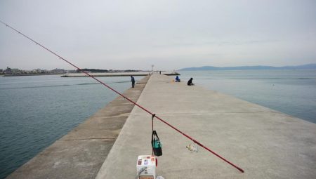 今朝も東二見でキス釣り