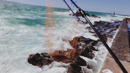 黒鯛　爆釣　海は大荒れ