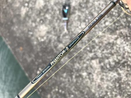 3月13日キビレゲーム