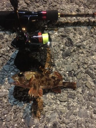 小さくても嬉しい。