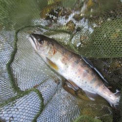 地元の渓谷にて