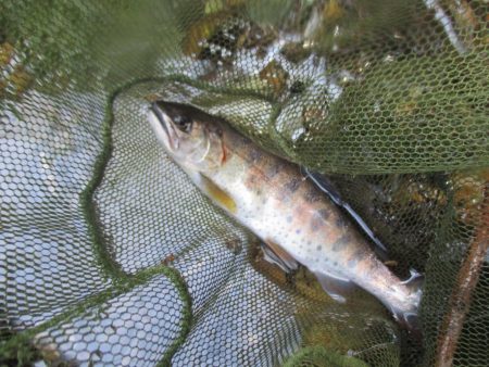 地元の渓谷にて