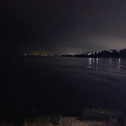 ニュータックルにて