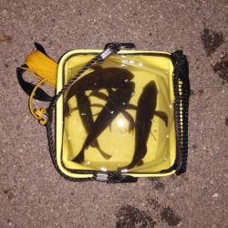 めっちゃ引きます