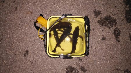 めっちゃ引きます