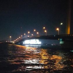 南港へち釣行 （2020/03/20 暴風の南港ヘチ釣り　真チヌ（46cm）