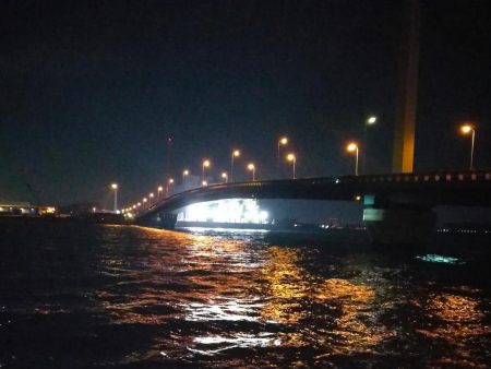 南港へち釣行 （2020/03/20 暴風の南港ヘチ釣り　真チヌ（46cm）