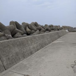 テトラ　穴釣り　